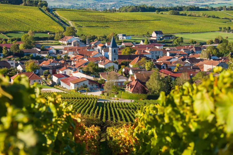 Constructeur de maisons à Châlons-en-Champagne, photo 1 sur 1