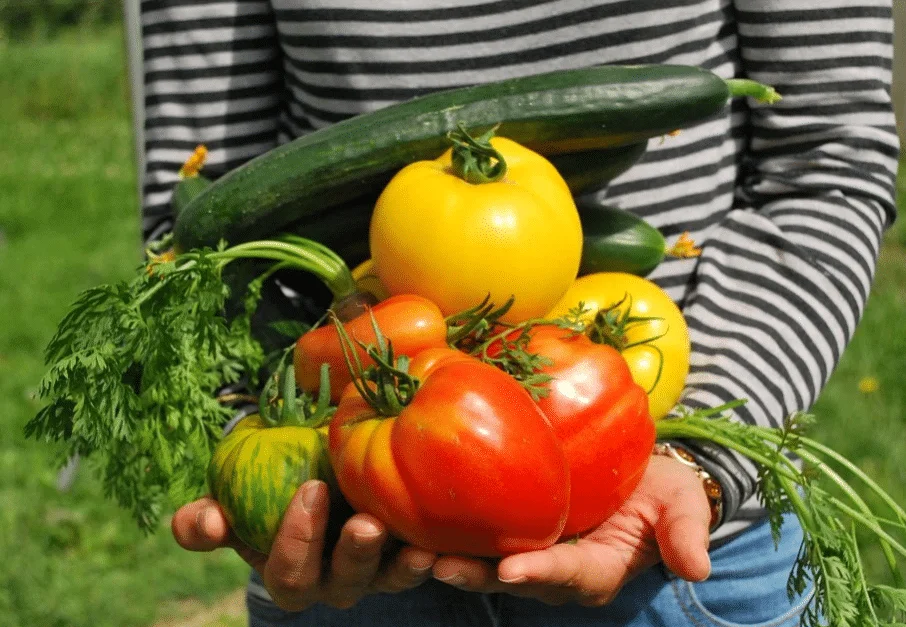 potager